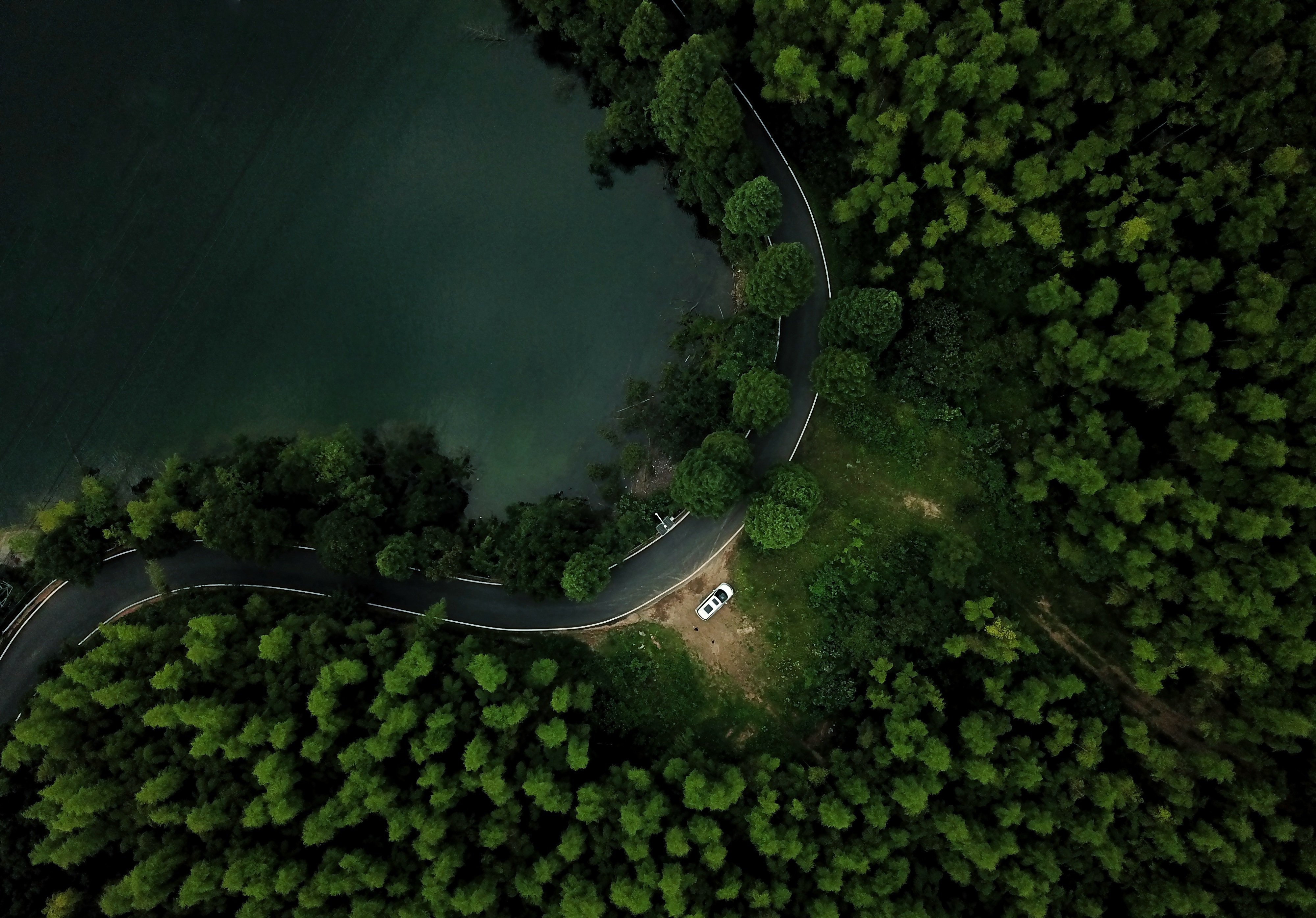 Aerial view of a road through a forest